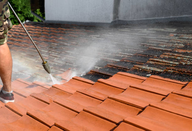 Best Sidewalk Pressure Washing  in Erwinville, LA