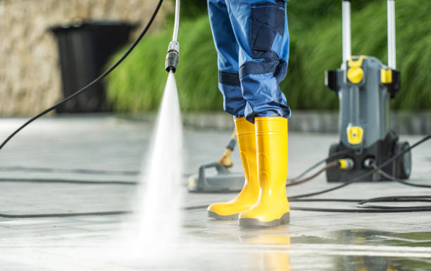 Best House Pressure Washing  in Erwinville, LA